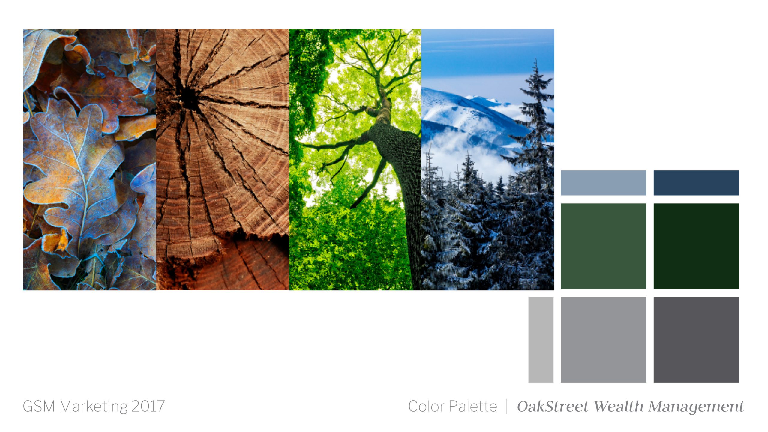 Oakstreet color palette plan