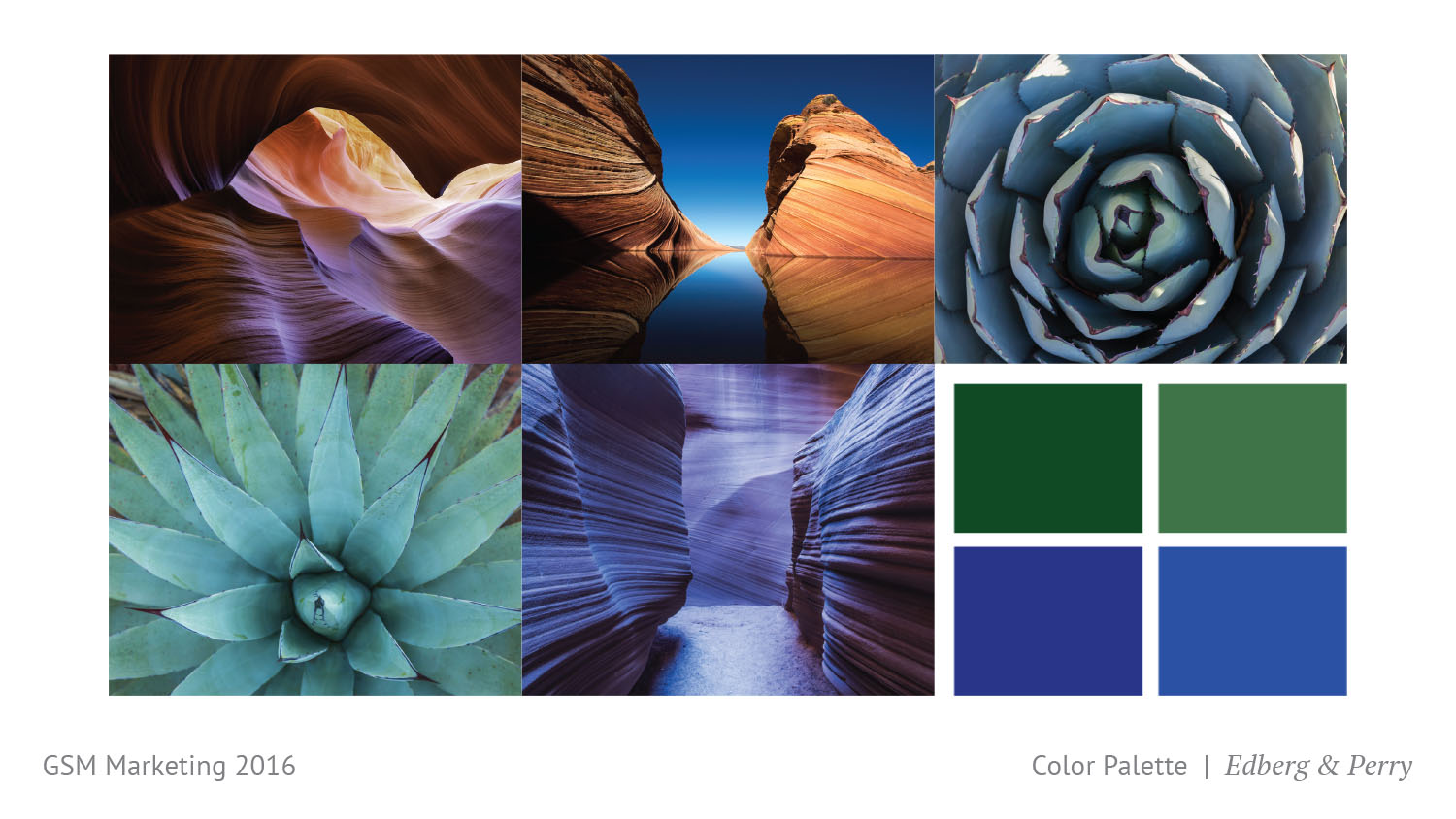 Edberg Perry color palette plan
