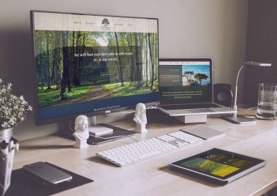 OakStreet Wealth Management Website