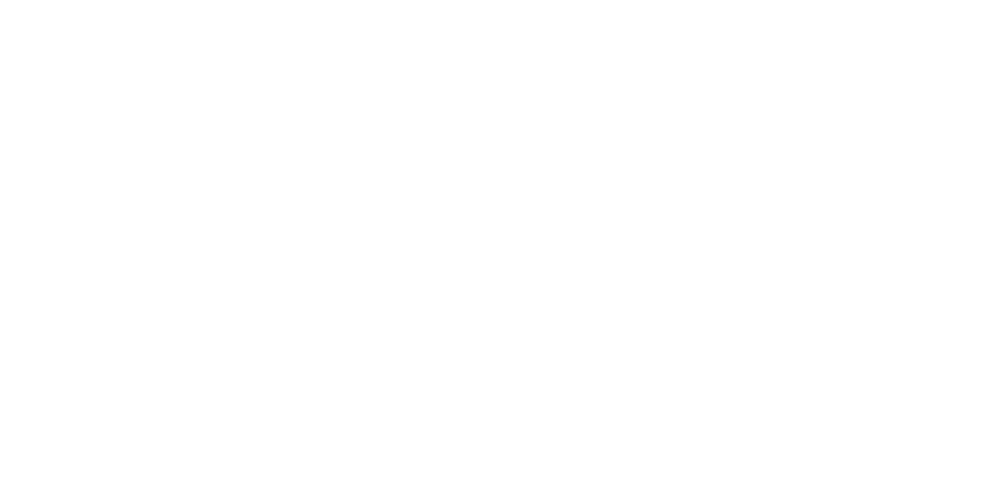 Advisor 2X logo