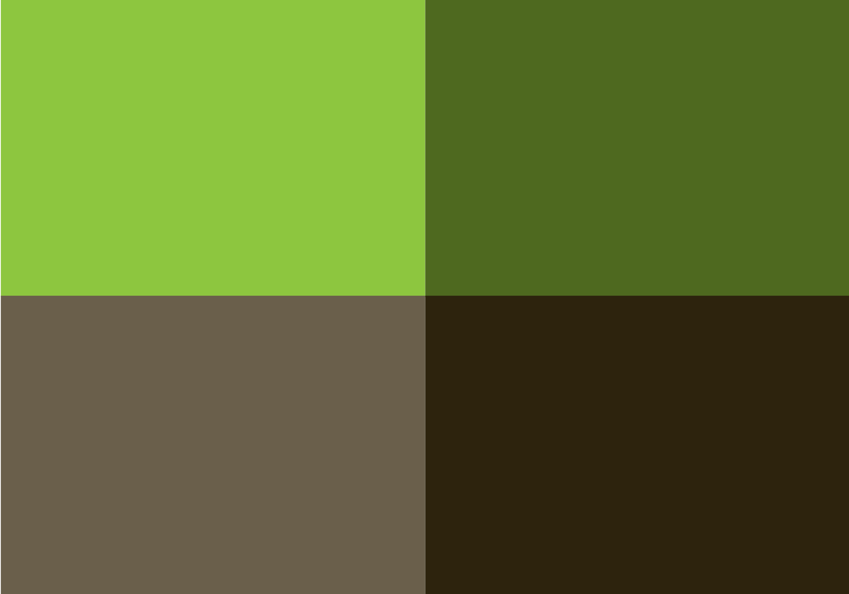 RSI brand color palette