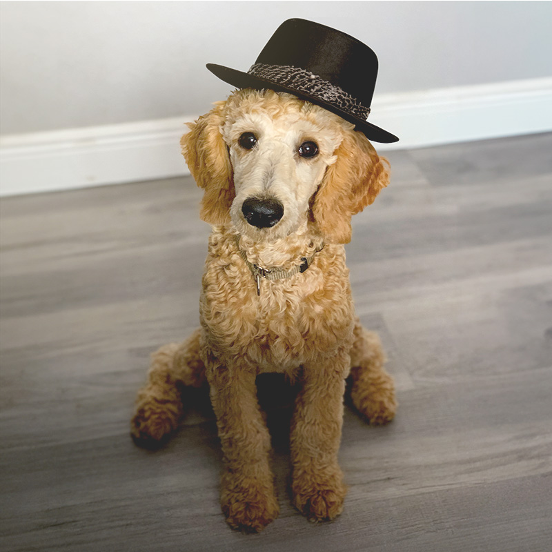 Colten "Chicken Little"