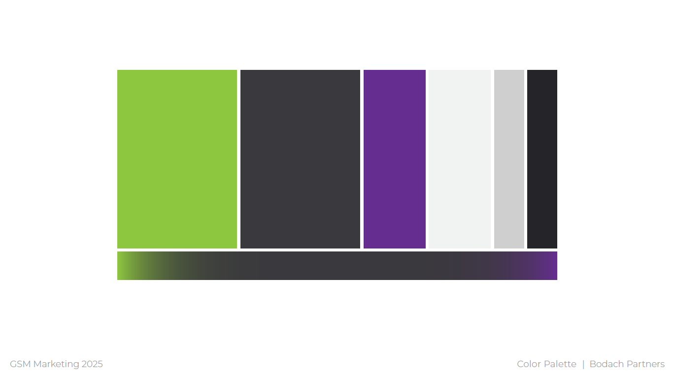 Bodach Partners Color Palette